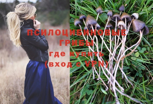 меф Бронницы