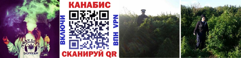 Каннабис гибрид  Новохопёрск 